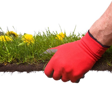 Landscape and hardscape design